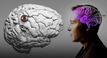 Elon Musk diz que Neuralink implantou terceiro dispositivo cerebral em paciente